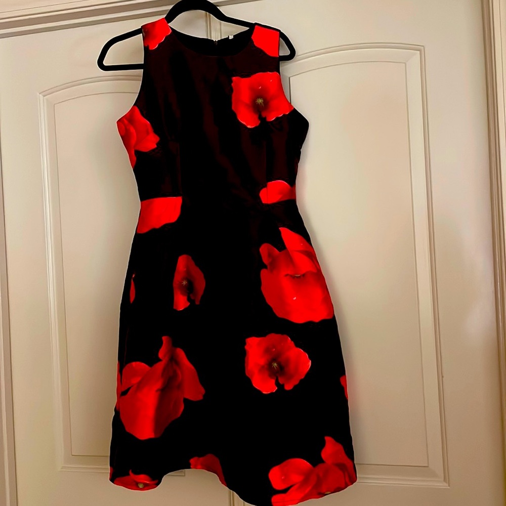 Beautiful for and flare dress ! Suitable for dinner dates or for a wedding . New